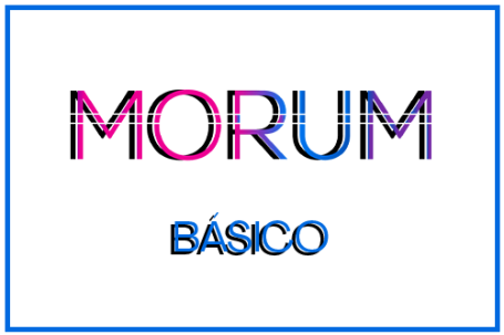 Morum Studio Básico